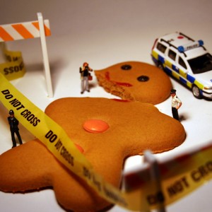 gingerdead 800