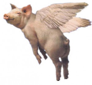 Flying Pig