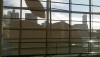 IMG00341-20100607-0842